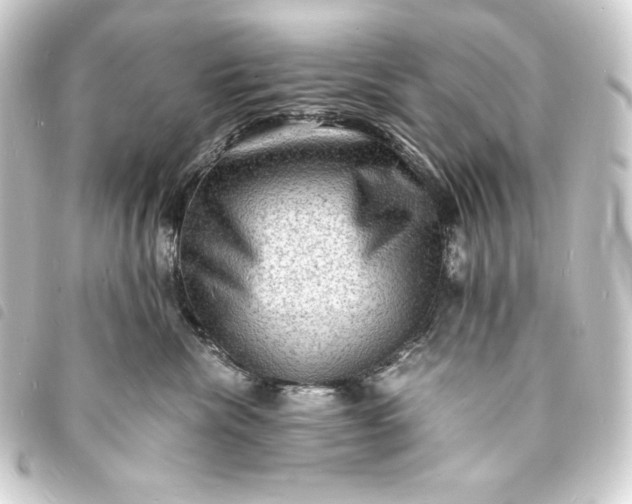 X0000093730476200710301047