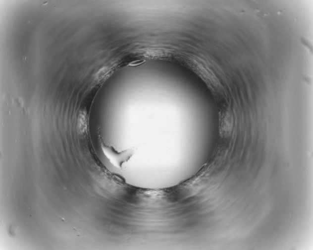 X0000093730478200710301047