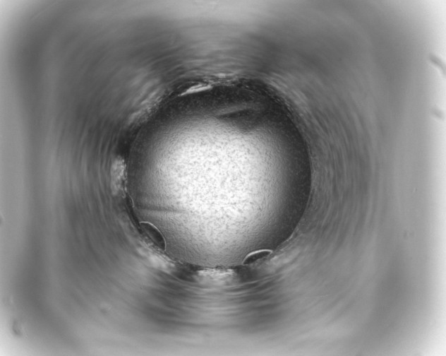 X0000093730480200710301047