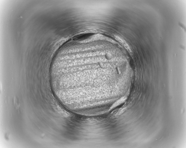 X0000093730481200710301047