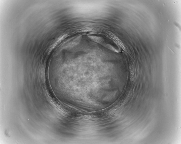 X0000093730482200710301047