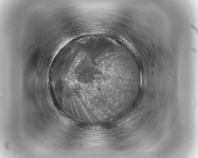 X0000093730483200710301047