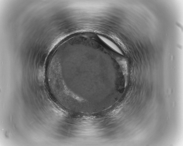 X0000093730484200710301047