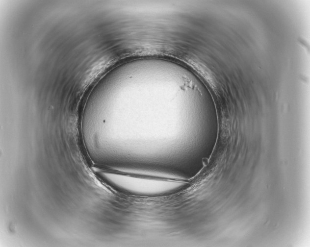 X0000093730485200710301047