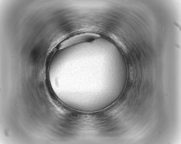 X0000093730486200710301047