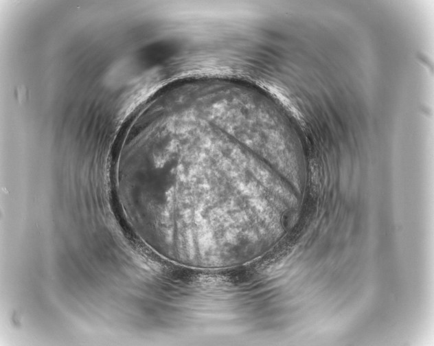 X0000093730487200710301047