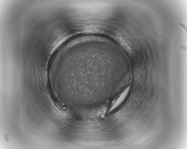 X0000093730488200710301047