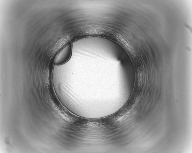 X0000093730490200710301047