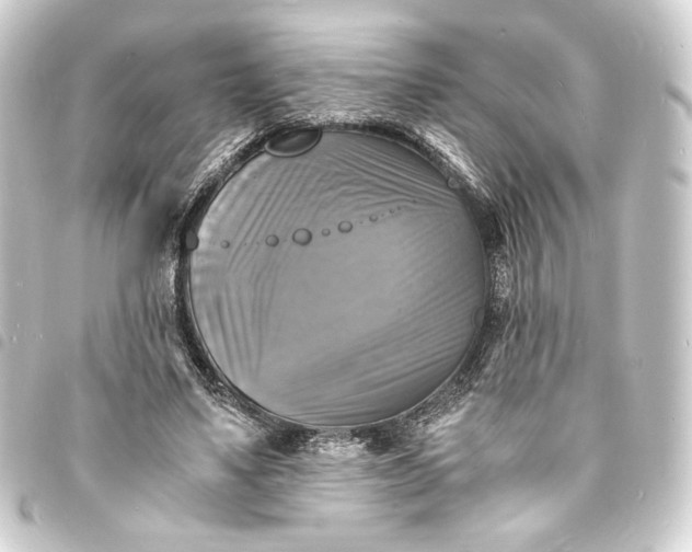 X0000093730491200710301047