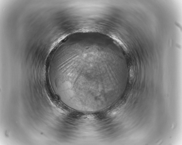 X0000093730492200710301047