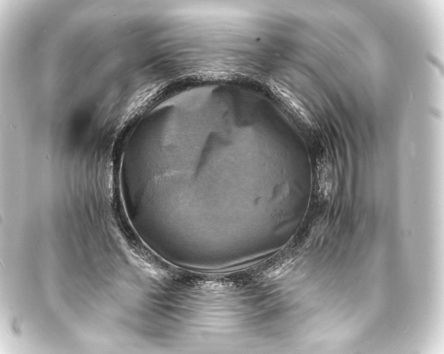 X0000093730494200710301047