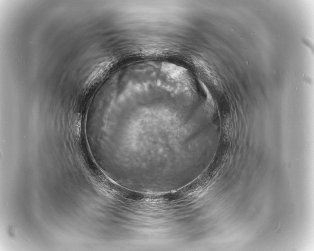 X0000093730495200710301047