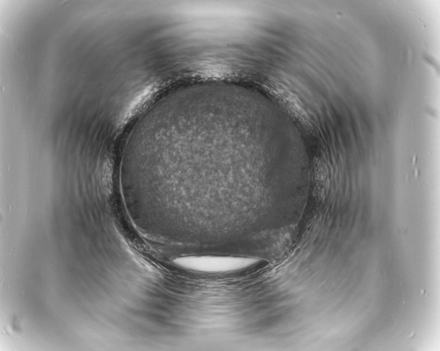 X0000093730496200710301047