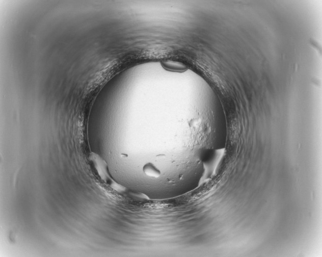 X0000093730497200710301046