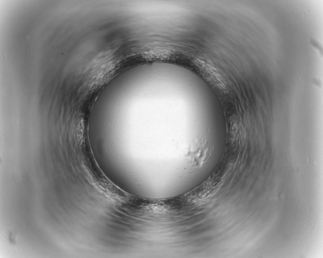 X0000093730498200710301046