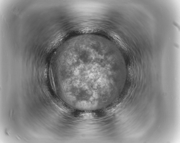 X0000093730499200710301046