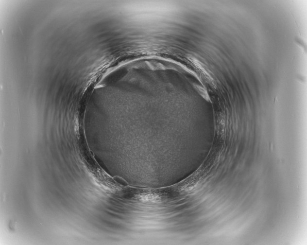 X0000093730500200710301046