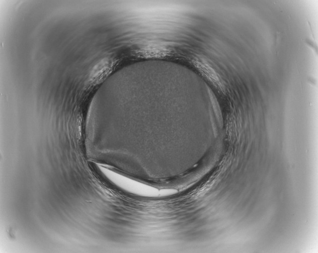 X0000093730501200710301046