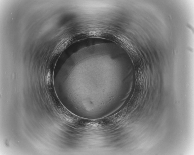 X0000093730502200710301046