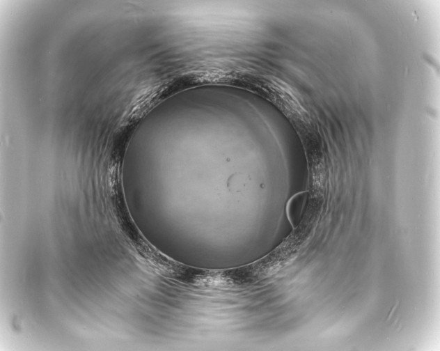 X0000093730503200710301046