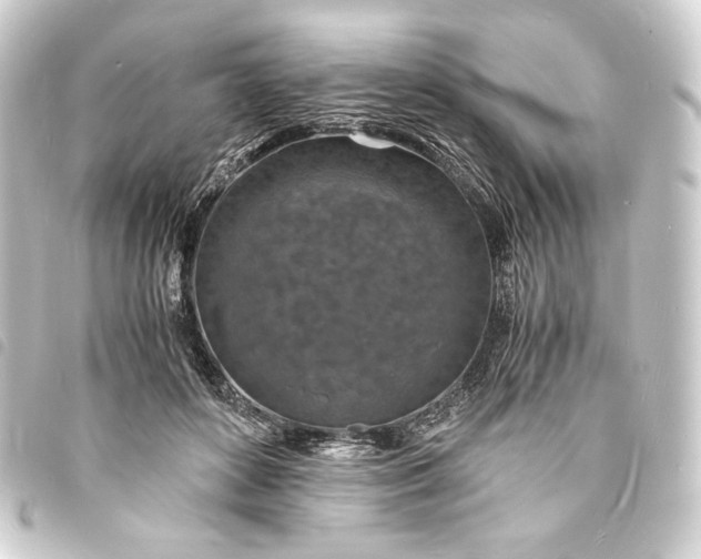 X0000093730504200710301046