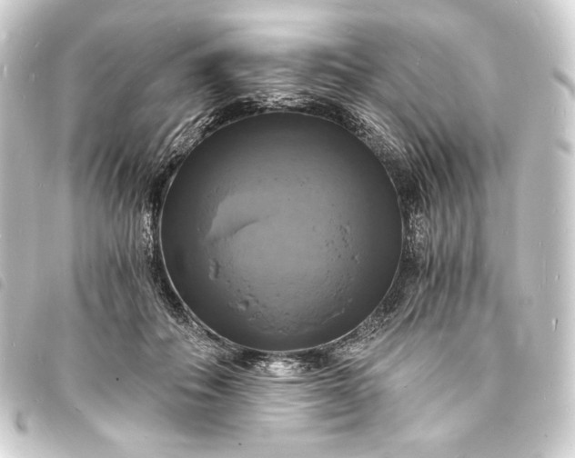 X0000093730506200710301046