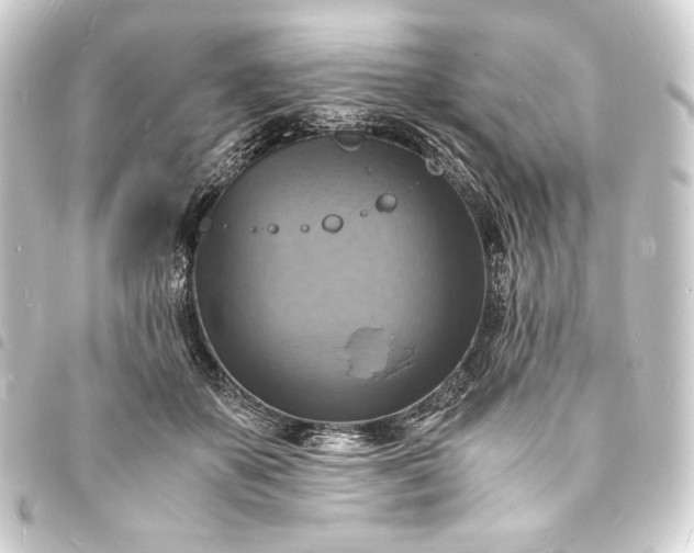 X0000093730507200710301046