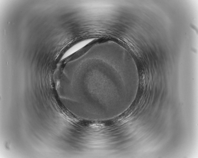 X0000093730508200710301046