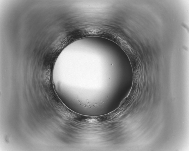 X0000093730509200710301046