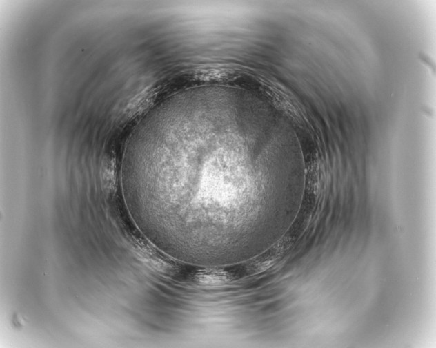 X0000093730510200710301046