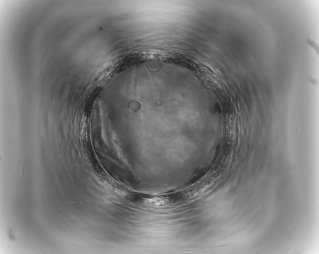 X0000093730511200710301046