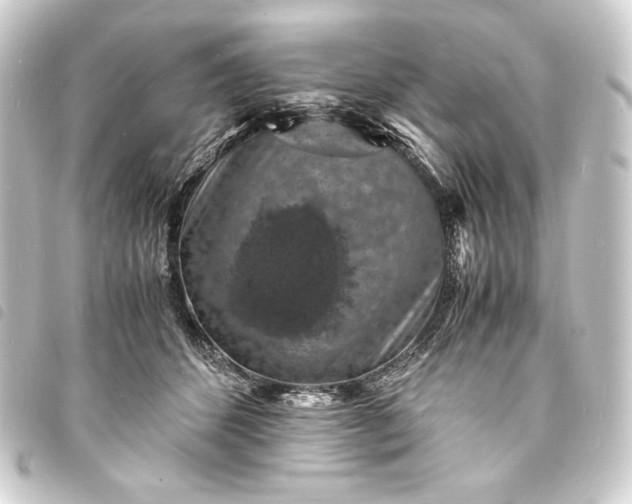 X0000093730512200710301046