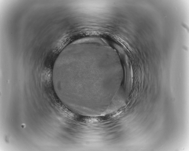 X0000093730513200710301046