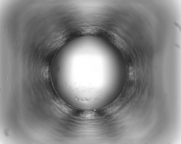 X0000093730514200710301046