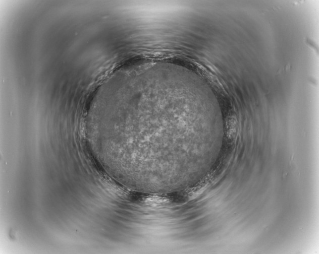 X0000093730515200710301046