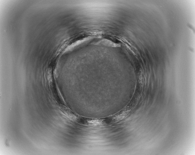 X0000093730516200710301046