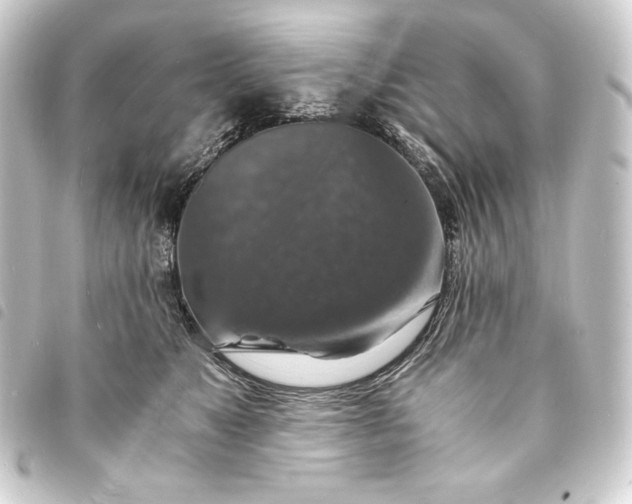 X0000093730517200710301046