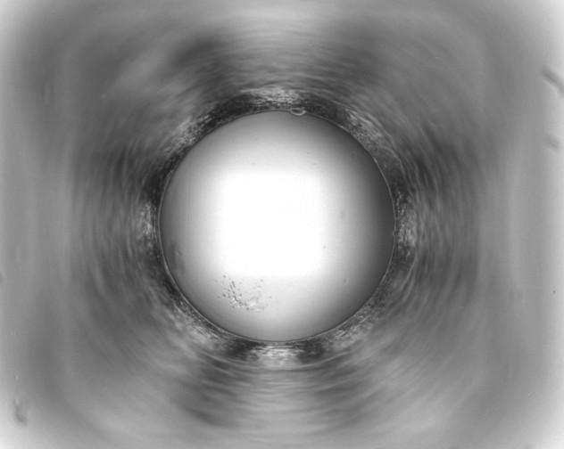 X0000093730518200710301046