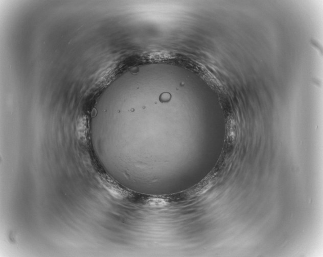 X0000093730519200710301046