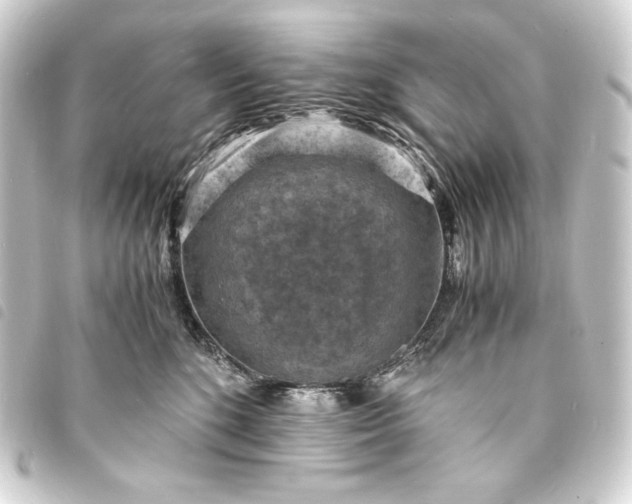 X0000093730520200710301046