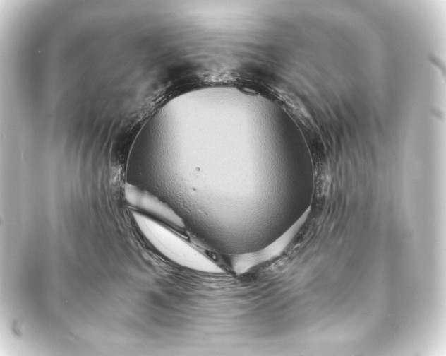 X0000093730521200710301046