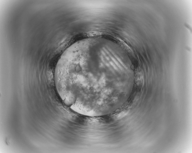 X0000093730523200710301046