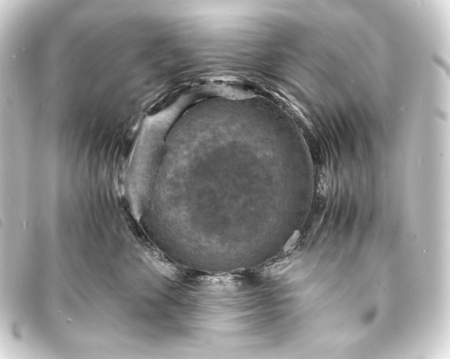 X0000093730524200710301046