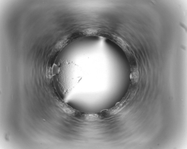 X0000093730525200710301046