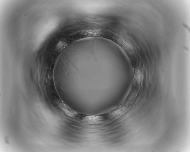 X0000093730526200710301046