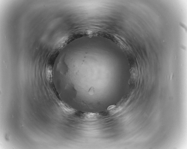 X0000093730527200710301046