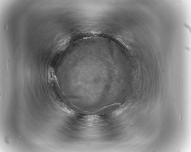 X0000093730528200710301046