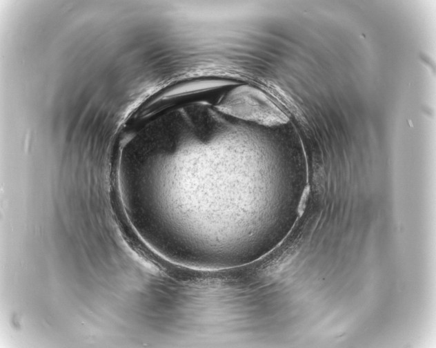 X0000093730530200710301046