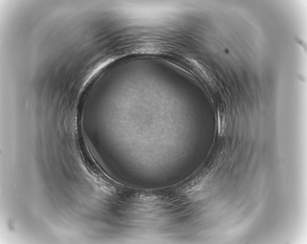 X0000093730531200710301046