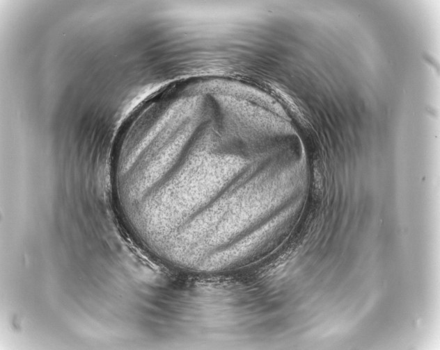 X0000093730532200710301046